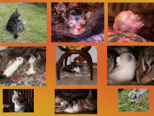 Welcoming Fall 2025 Medicine, Veterinary, and Nursing students at Xavier University School of...