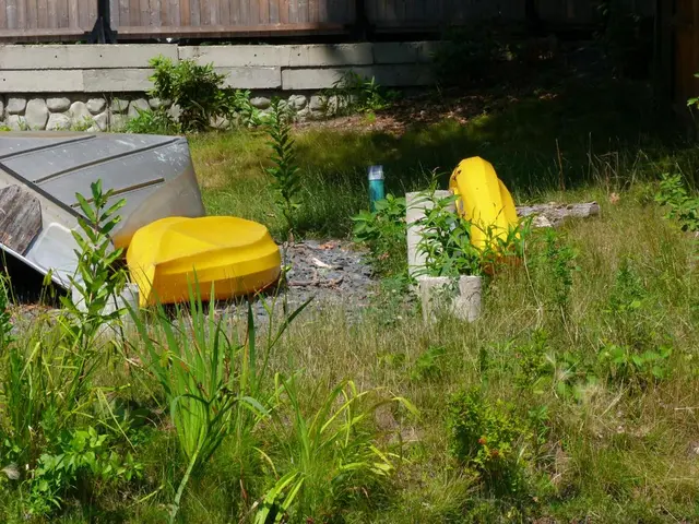 Government halts all reclamation initiatives in Lagos due to potential ecological threats