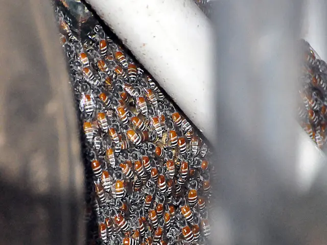 Sky's recent news covers the ongoing quarterly projects