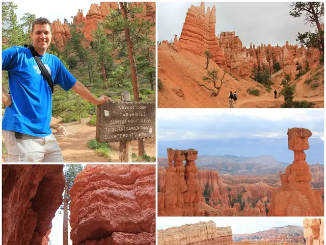 "14th September 2025 - Monumental Showcase: Greifswald Unveils Its Historic Landmarks"