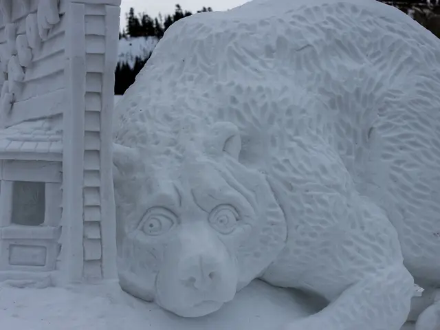 Cold Season ahead: Embracing the Frosty Months Ahead