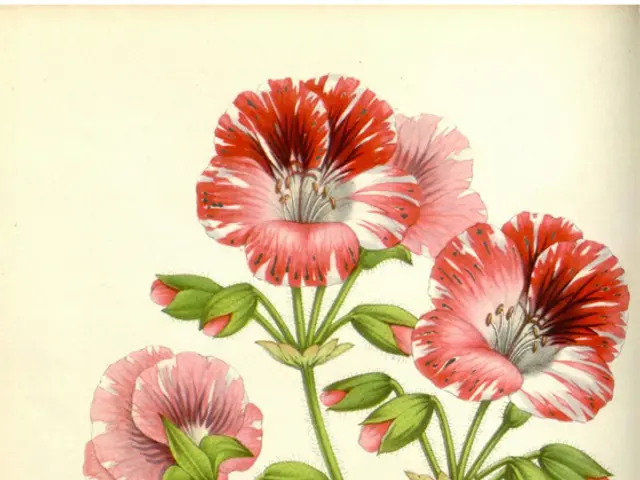 In this image there is a painting of flowers and leaves. At the bottom of the image there are some...